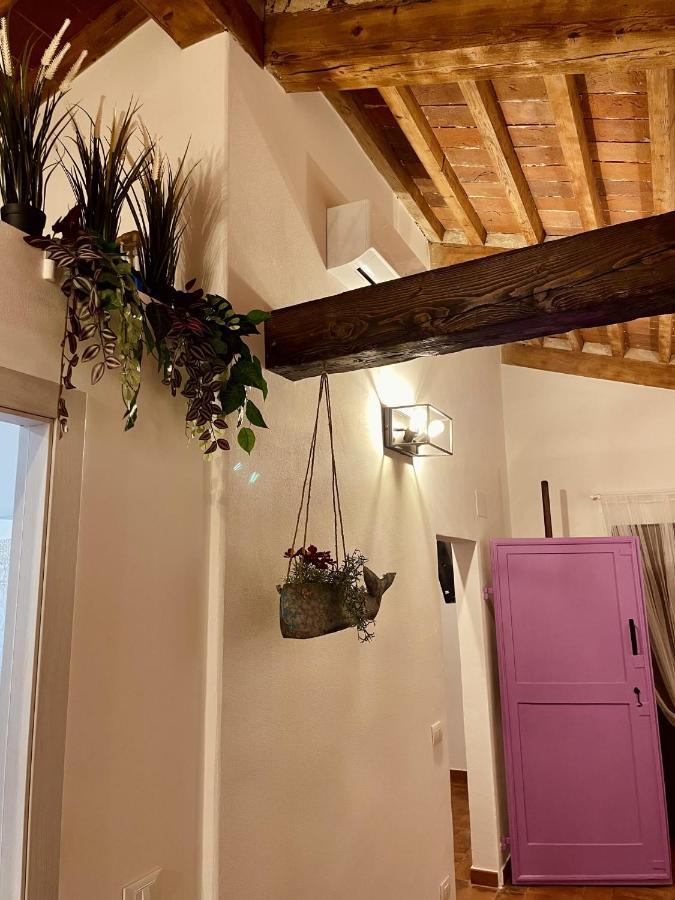Appartement Modi Loft à Livourne Extérieur photo